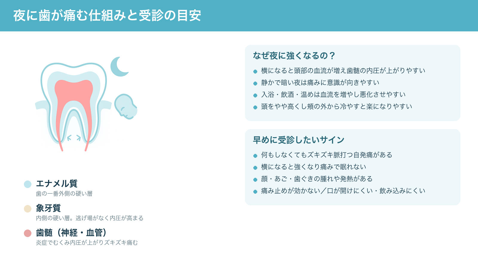 夜に歯が痛む仕組み（歯の三層構造と歯髄の炎症で内圧が高まること、横になると強くなること）と、早めに受診したいサインをまとめた解説図