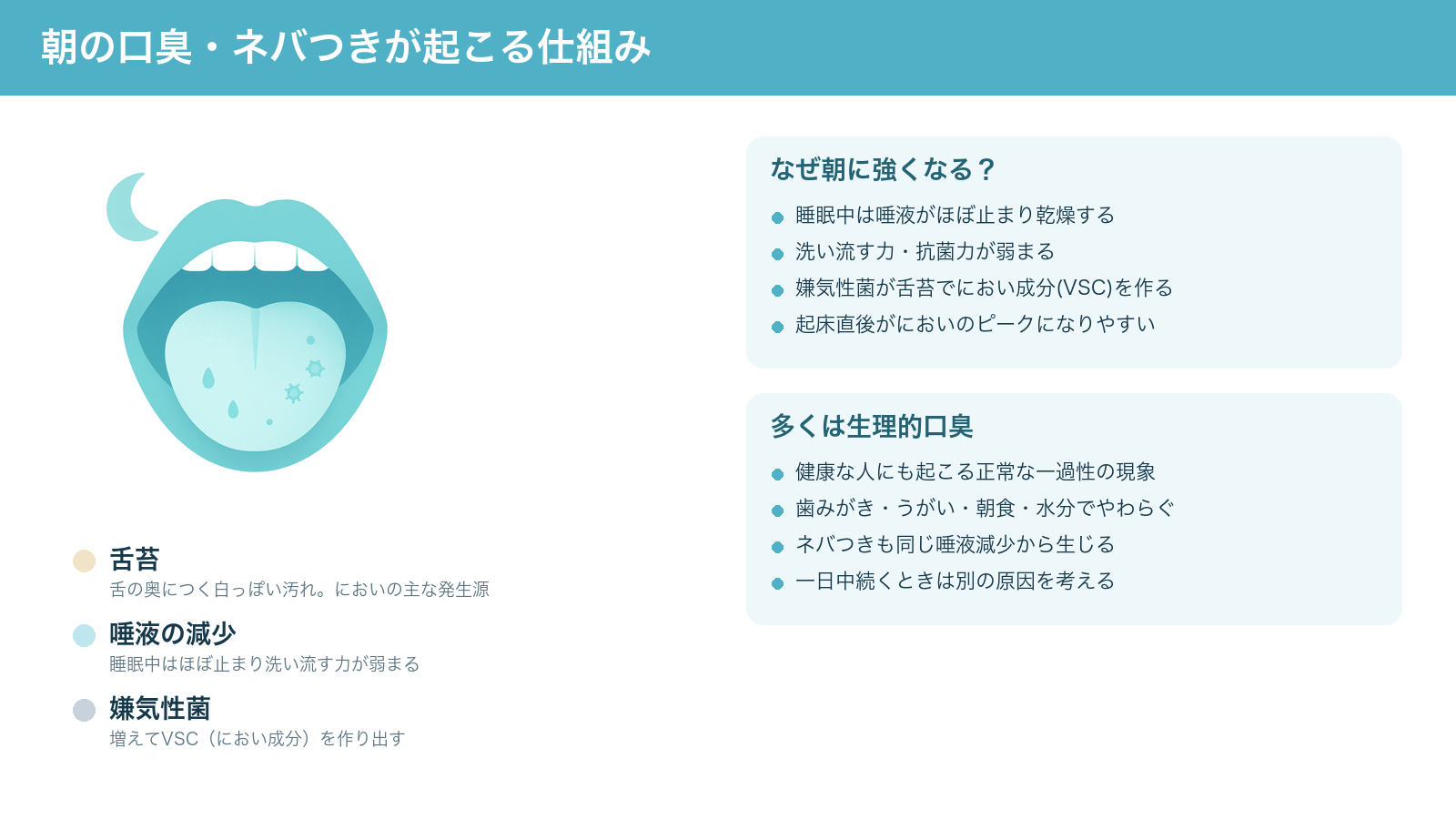 朝の口臭・ネバつきが起こる仕組みの解説図。睡眠中に唾液が減って乾燥し、舌苔で嫌気性菌がにおい成分（VSC）を作り、起床直後ににおいが強くなることと、多くは生理的口臭であることを示す