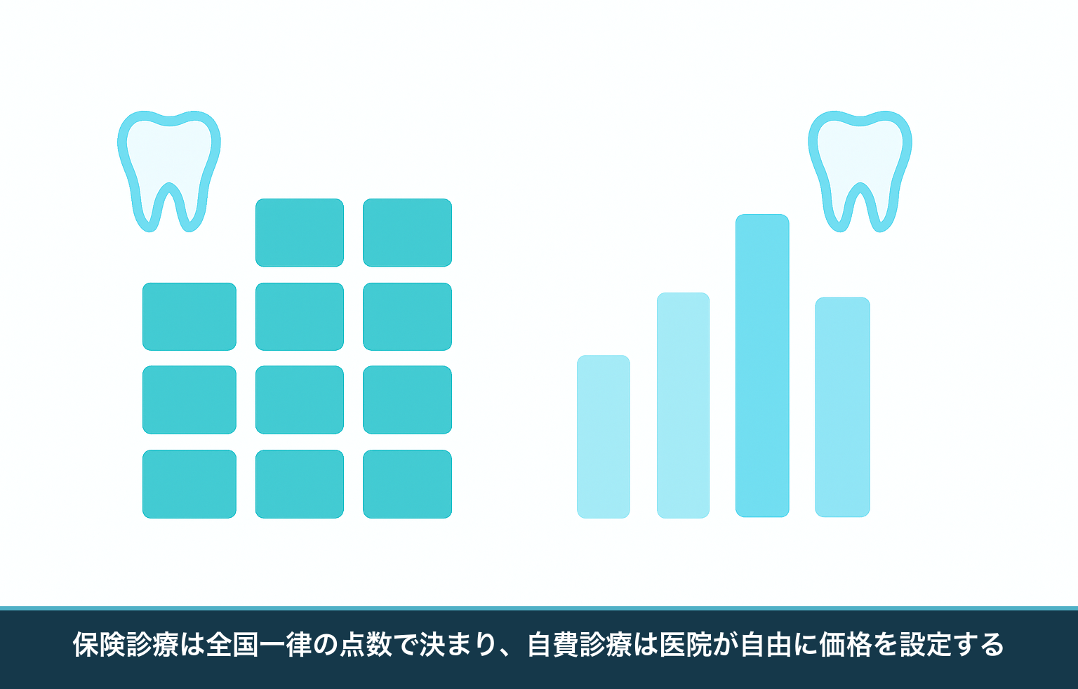 保険診療は全国一律の点数で価格が決まり、自費診療は医院ごとに価格が変わるという費用の決まり方の違いを表した図